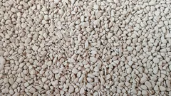 Pridal som to do pôdy – a rastliny prestali hniť a chradnúť