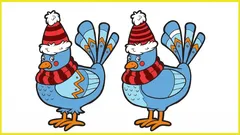 Iba 30 % ľudí dokáže nájsť všetkých 5 rozdielov za 10 sekúnd