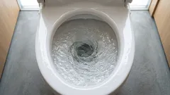 Baktérie z toalety sa usadzujú dokonca aj na vašej zubnej kefke – takto tomu môžete predísť