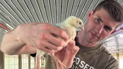 27-ročný bankár sa vzdal platu vo výške 150 000 dolárov a odišiel chovať sliepky – a tu je dôvod