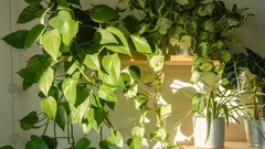 Úžasný efekt bez námahy: ako Potos premení priestor