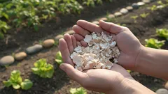 Vyhadzujete ju zbytočne! Kde vaječné škrupiny skutočne pomáhajú rastlinám