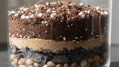 Zamioculcas má rád chudobnú, ľahkú a kyprú pôdu – pripravíme si ju sami